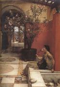 Alma-Tadema, Sir Lawrence, An Oleander (mk23)